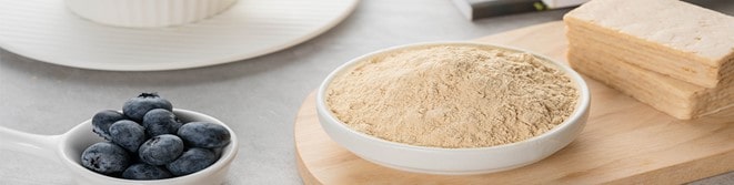 Protein iz kvasca